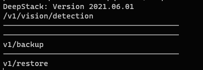 Docker containers to install DeepStack