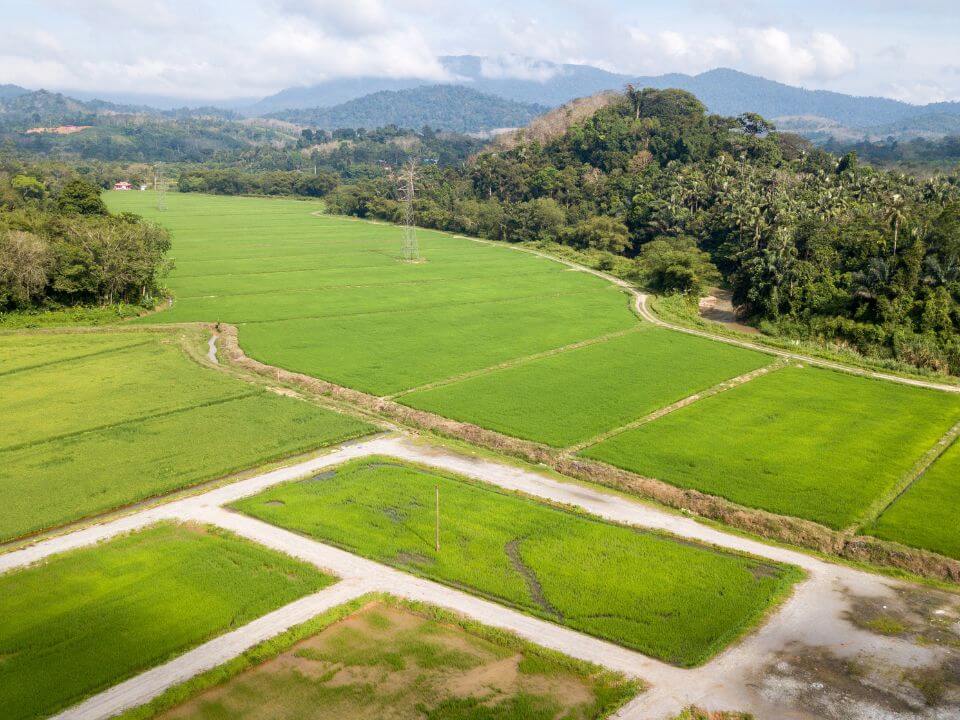 Application creation by government agency so farmers can see property details, picture of plot of agricultural land