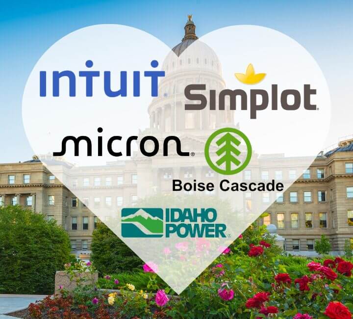 Boise software consultants working