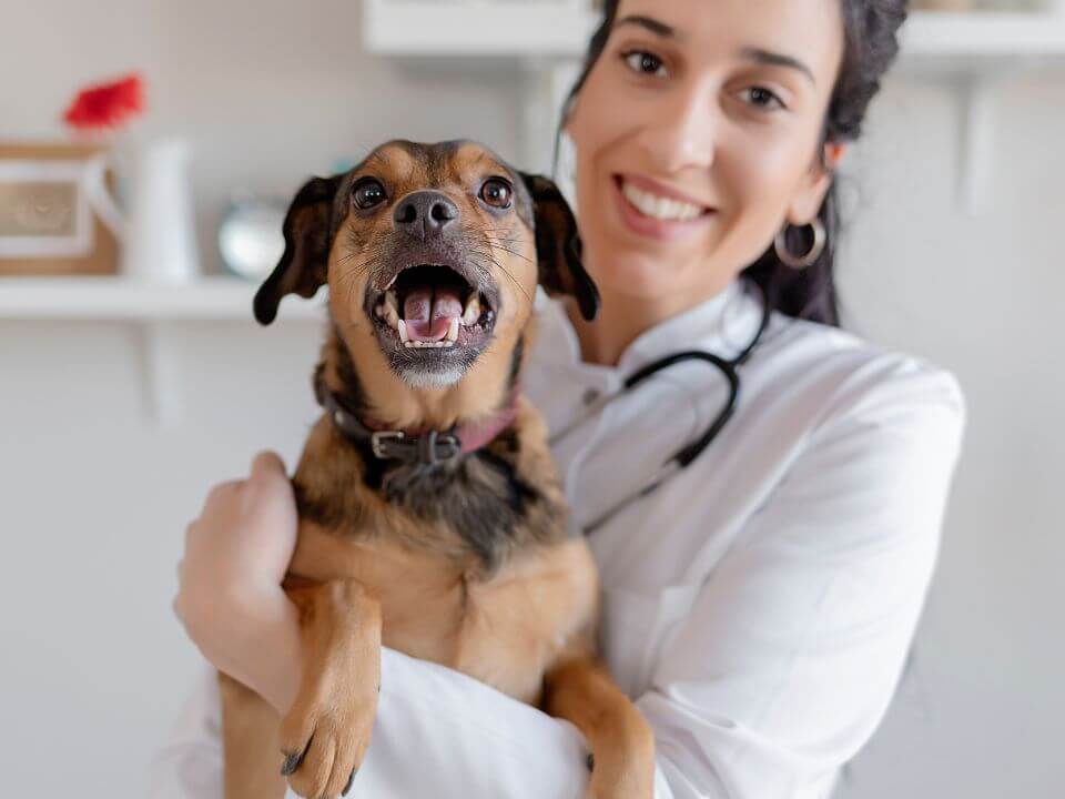 Featured image for โAI-Accelerated Development in Practice: A Repeat Client Modernization Storyโ