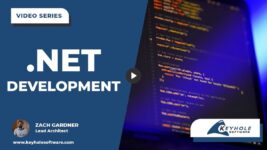 .net development